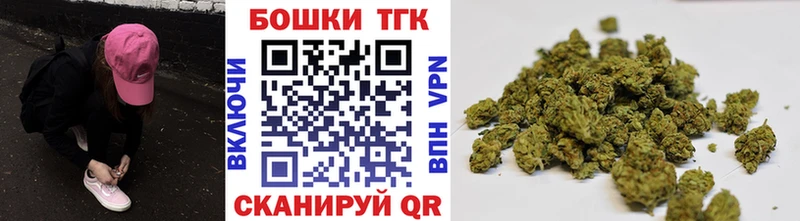 APVP Пересвет
