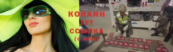 стаф Алексеевка