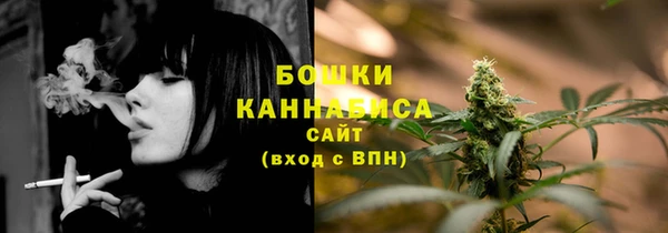 стафф Дмитров