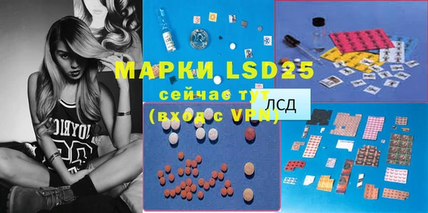 стафф Дмитров