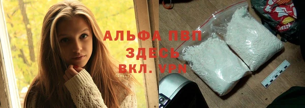 PSILOCYBIN Ладушкин