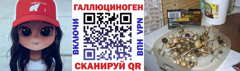 Галлюциногенные грибы Magic Shrooms darknet официальный сайт Пересвет купить